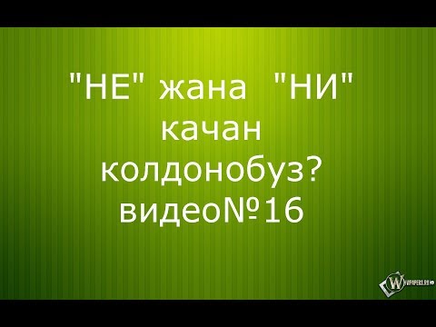 Video: Качан колдонобуз?