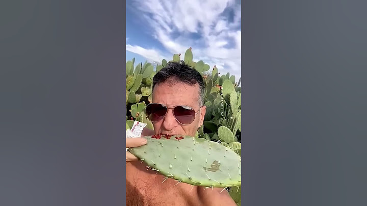 "ازاي التين الشوكي بقى كنز في الصين؟ 🌵💰"
