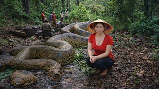 Terrifying Discovery! Villagers Find a GIANT Python Bigger Than a Human! 😱