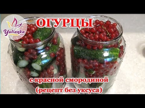 ОГУРЦЫ с КРАСНОЙ СМОРОДИНОЙ. Маринуем огурцы БЕЗ УКСУСА. Простой и полезный рецепт