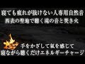 【寝ても疲れが抜けない人専用】寝ながら聖地の滝の音を聴くだけで強力エネルギーチャージ＆グラウンディングができる波動の睡眠用パワースポット自然音【西表島の大自然と焚き火の力】Sacred River