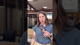 Santa Ana River Master Plan Community Meeting Recap