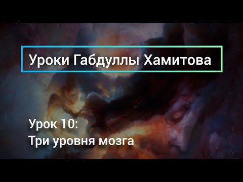 Рептильный мозг, лимбический мозг и неокортекс