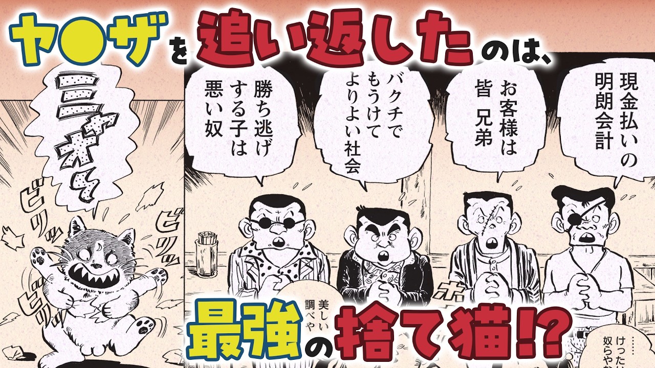 漫画】ケンカ最強猫が無双!? 昭和・大阪の下町で大騒動を