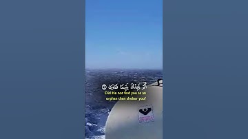 القران الكريم 🙏 راحه نفسيه 🤲🌳🌲