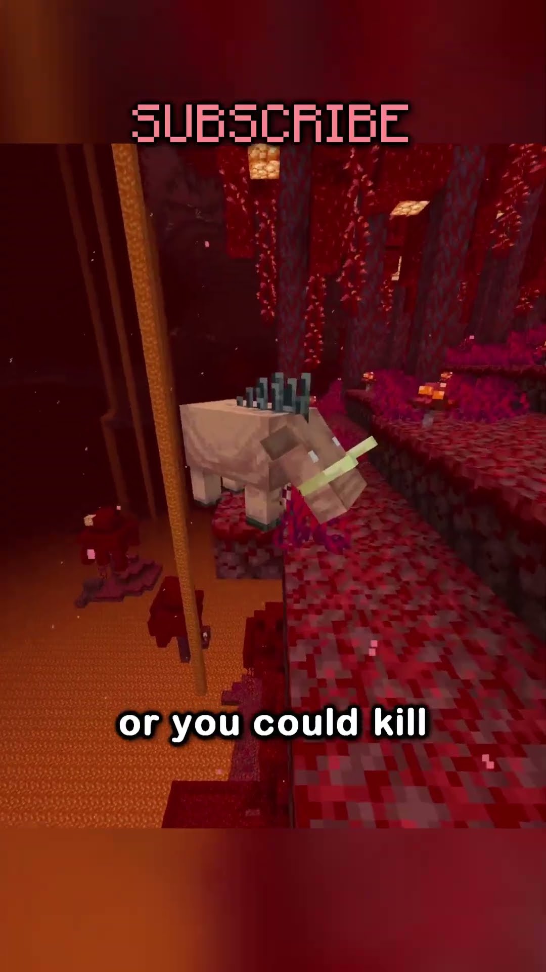 how to get food in the nether!