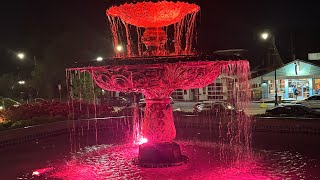 Belmont University: Freshman Year Review. (Pros and Cons)