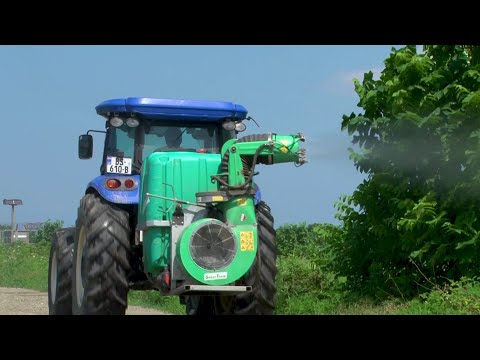 ფაროსანას წინააღმდეგ