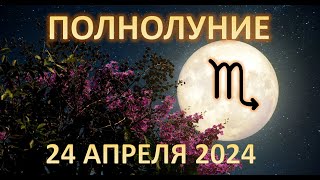 ПОЛНОЛУНИЕ ♏️ | 24 апреля 2024