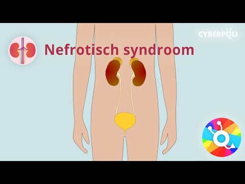 Wat is nefrotisch syndroom?