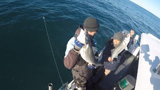 Offshore boat fishing trip with Matt and Ren, PART 1, jigs and lures! by JOKERjigsandlures 2,632 views 2 months ago 18 minutes