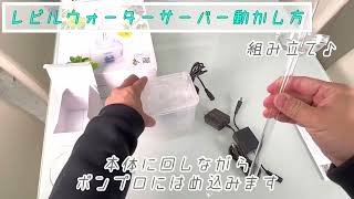 レビルウォーターサーバーPLUS【レビルクイーン】樹上生物の水飲み