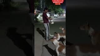🐕🙏🐕(Friends, look how happy the children are to eat food.)#dog #food #share #public #please #viral