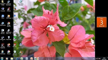 Cara download aplikasi ExamView Test Generator