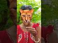 Thank you cat vs rabbit 😺🍶😂#shorts #cats#rabbit #funny #comedy #trending