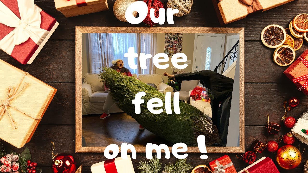 Our Tree Is TOO BIG! Vlogmas Day 7!!!! YouTube