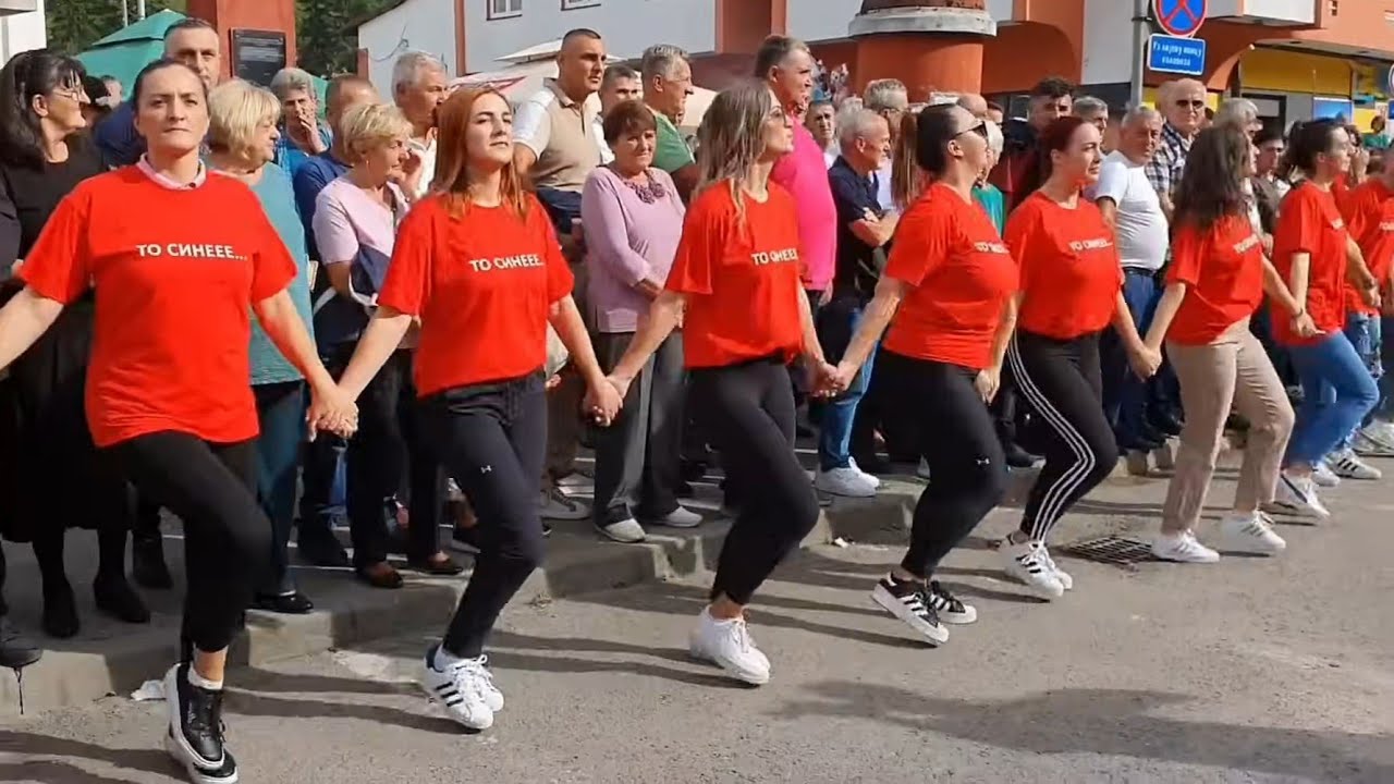🔴 Čajniče Mala Gospojina - Kolo vodi kafana biblioteka - Goci Bend i Gavro