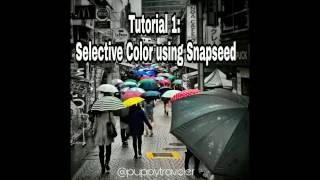 Snapseed Tutorial: Isolating Color/Selective Color/Color Splash