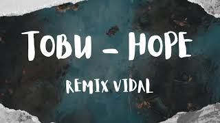 Tobu - Hope  ( VIDAL Remix ) Resimi