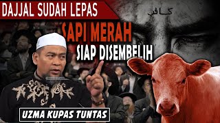 Dajj4l sudah lepas sapi merah sudah mau disemb3lih - Ustadz Zulkifli M Ali  | UZMA kupas tuntas