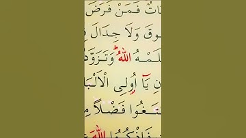 سورة البقرة الأية 197 القارئ مشاري راشد العفاسي