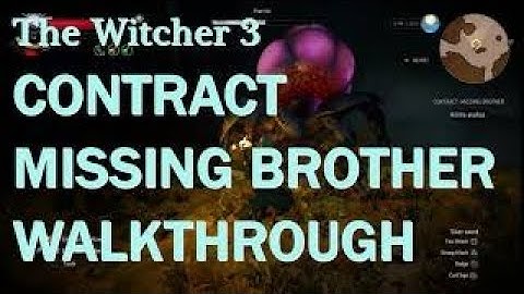 The Witcher 3 , Contract : Missing Brother , Walkthrough