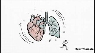 Module 8 Revealed: The New Muay Thai Game-Changer Wealth