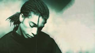 Introducing the Hardline According To... Remixes & B-Sides - Terence Trent D'Arby/ Sananda Maitreya