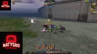 Silkroad Online 2026 Server Brontes - Another Day Another Raid