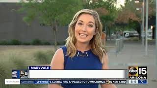 Fewer teens working summer jobs