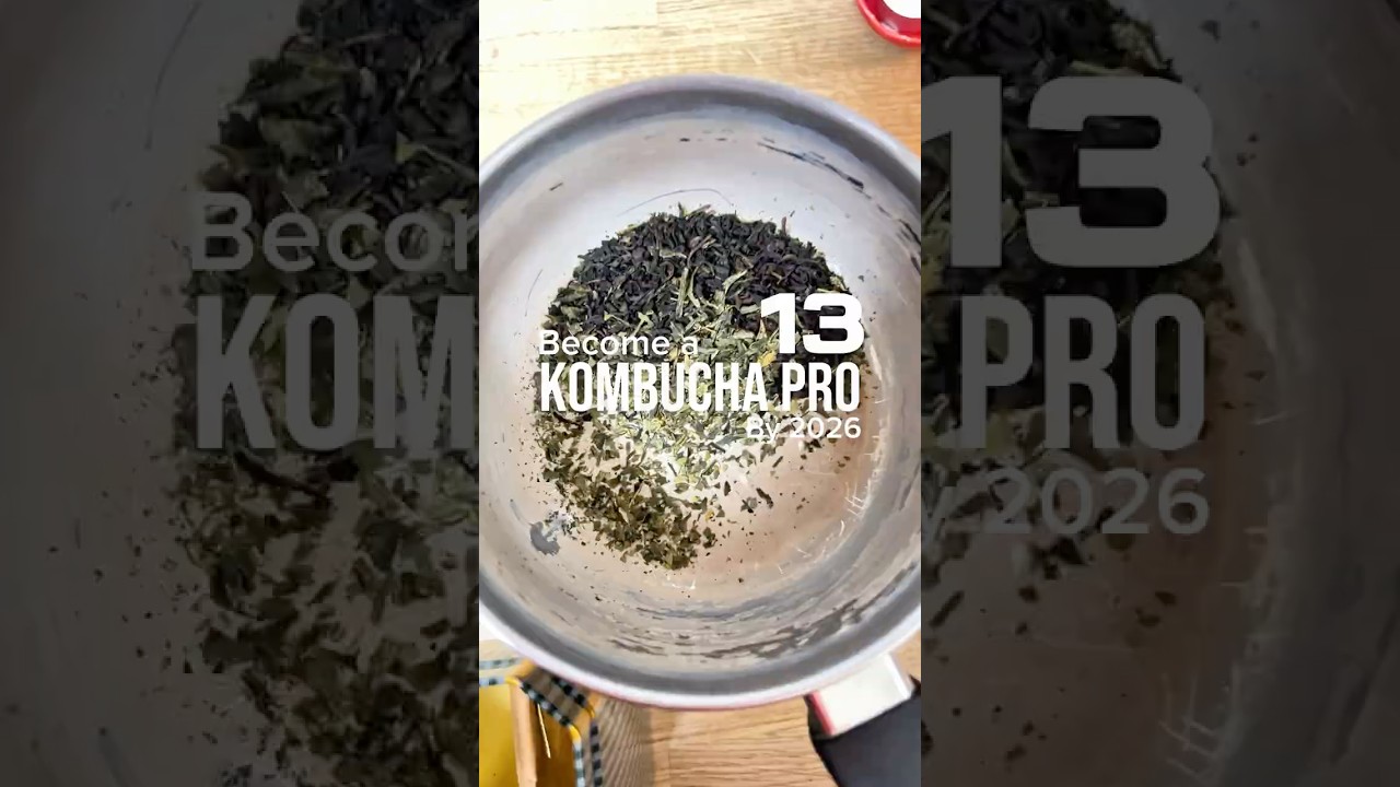 Want to become a kombucha pro!?🤩✨ 