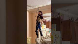 Spider-Man Stuntman