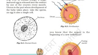 External Fertilisation/Sexual Reproduction/Part 2/NCERT Science Class 8th Ch 6 newvideo science