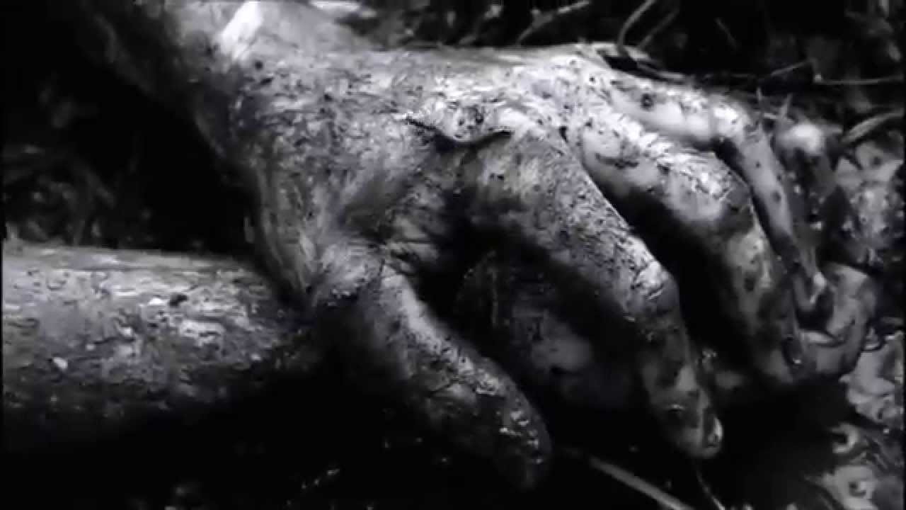 DIE YOUNG (TX) - "Return to the Earth" (Official Music Video)