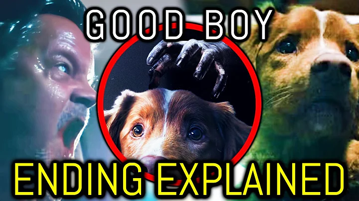 Good Boy (2025) Ending Explained – An Actually Unique & Terrifying Horror Movie Of 2025