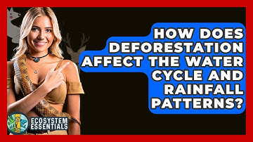 How Does Deforestation Affect The Water Cycle And Rainfall Patterns? - Ecosystem Essentials