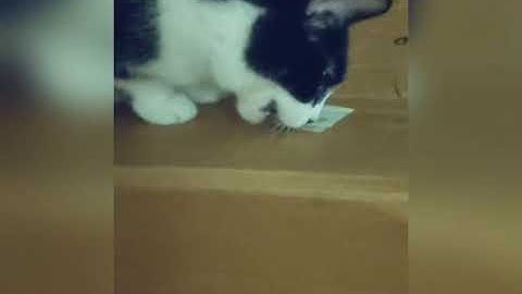 Advent Calendar Treat Time!!!