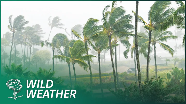 Surviving the World’s Most Violent Storms: Tornadoes & Cyclones