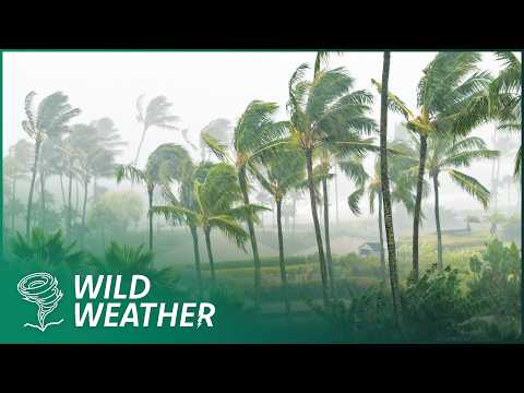 SURVIVING THE WORLD’S MOST VIOLENT STORMS: TORNADOES & CYCLONES