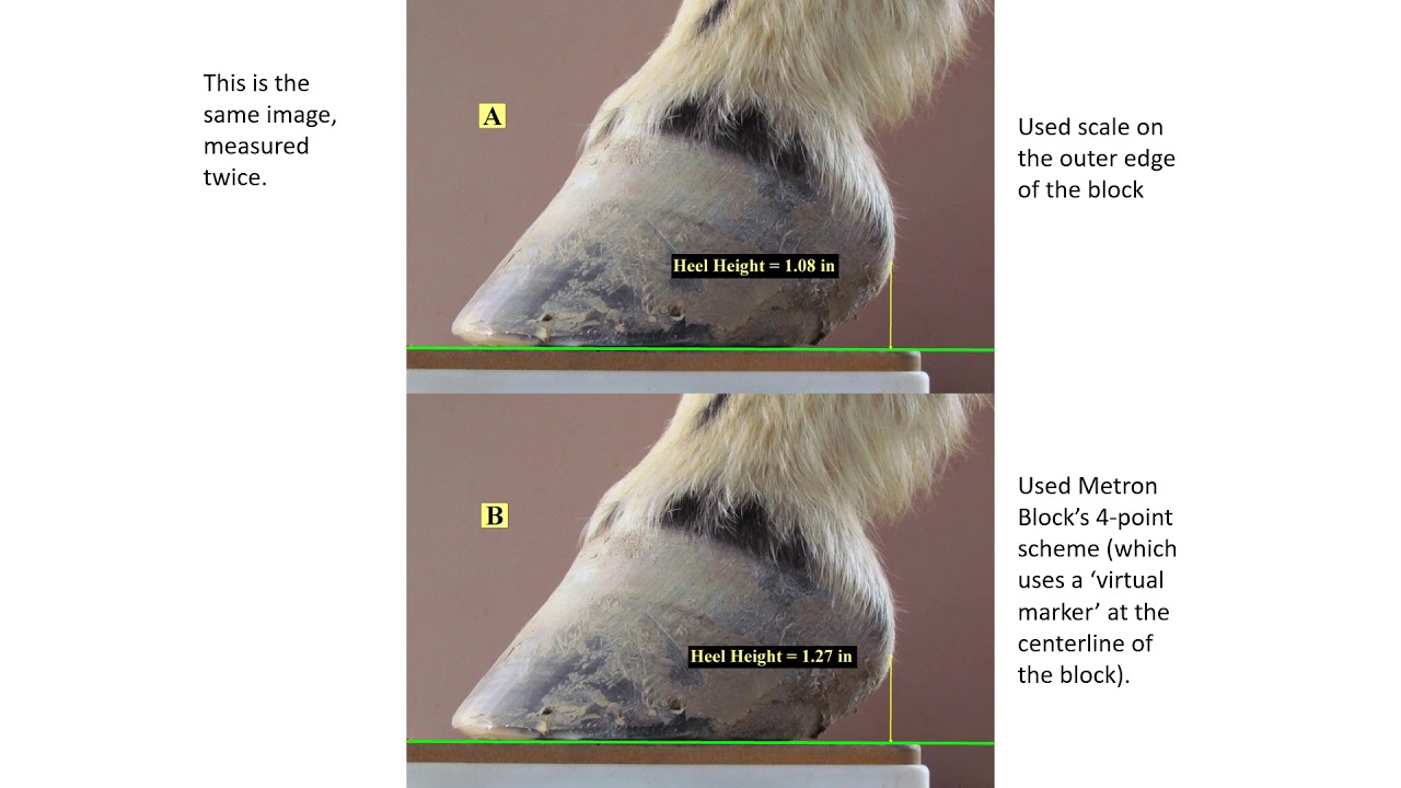 Metron DVM Software and Hardware Products - Metron Block Demo