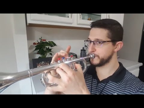 Plastic Toy Trumpet VS Professional Trumpet | Can You Tell the Difference?