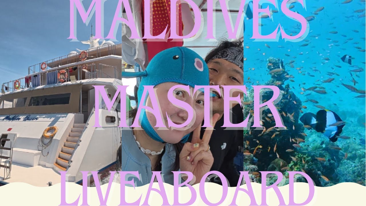 몰디브 마스터 리브어보드 -Maldives master Liveaboard