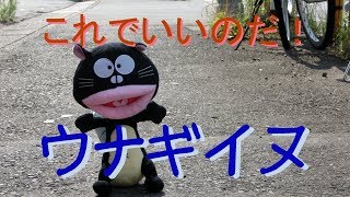 【天才バカボン】これでいいのだ!ウナギイヌ【オリジナル曲】