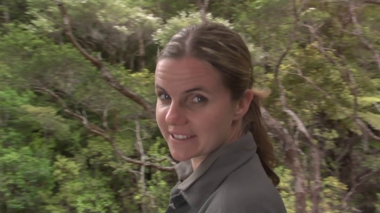 national parks development committee Meet the Locals: Kaiaraara Dam