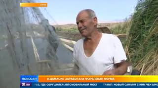 В Сирии завершается первый этап формирования демилитаризованной зоны в Идлибе