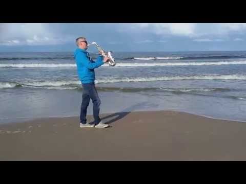 Raimonds Pauls Long Way In The Dunes Долгая дорога в дюнах 