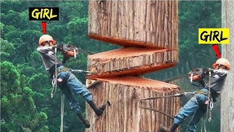 Amazing Fastest Skill Cutting Big Tree ChainSaw Machines, Heavy Biggest Felling Tree Machine working
