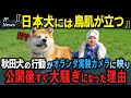 「鳥肌が立つ」オランダの実験カメラに秋田犬の驚くべき行動を公開して世界で大騒ぎになった理由【海外の反応】