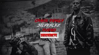 CRACk FAMILY - SILVELES - Gz