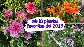 10 plantas favoritas del 2023